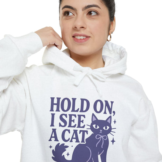 Cat Unisex Hoodie, Hold On I See a Cat Funny Sweatshirt, Pet Owner Gift, Cats Kitty Hooded Sweatshirt