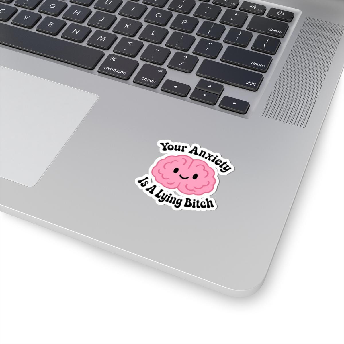Your Anxiety is a Lying Bitch Sticker